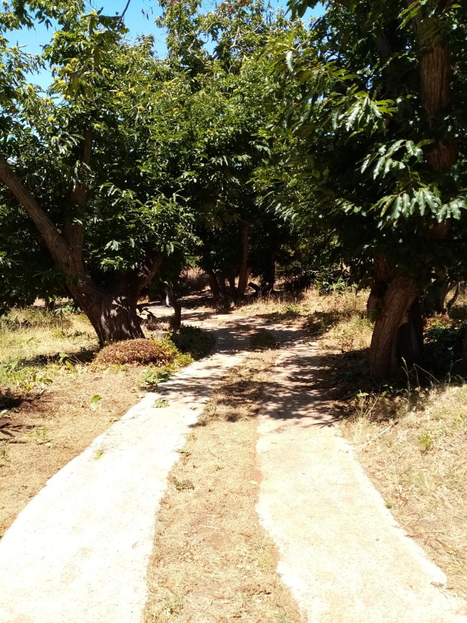 Kleines Refugium Unter Kastanien Garafía
